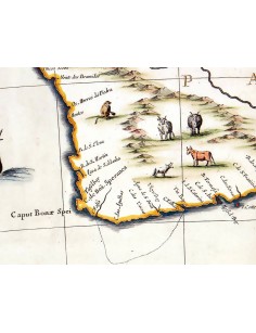 Afrique Australe 1635 détail