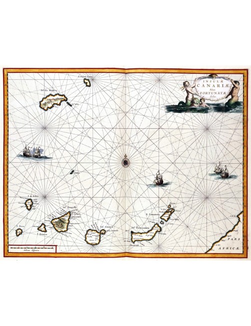 Îles Canaries 1667