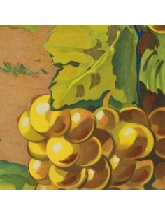 Zoom sur une grappe de raisin – illustration viticole de l’affiche vintage d’Alsace